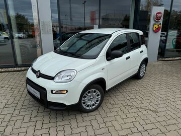 Gebrauchte Fiat Panda